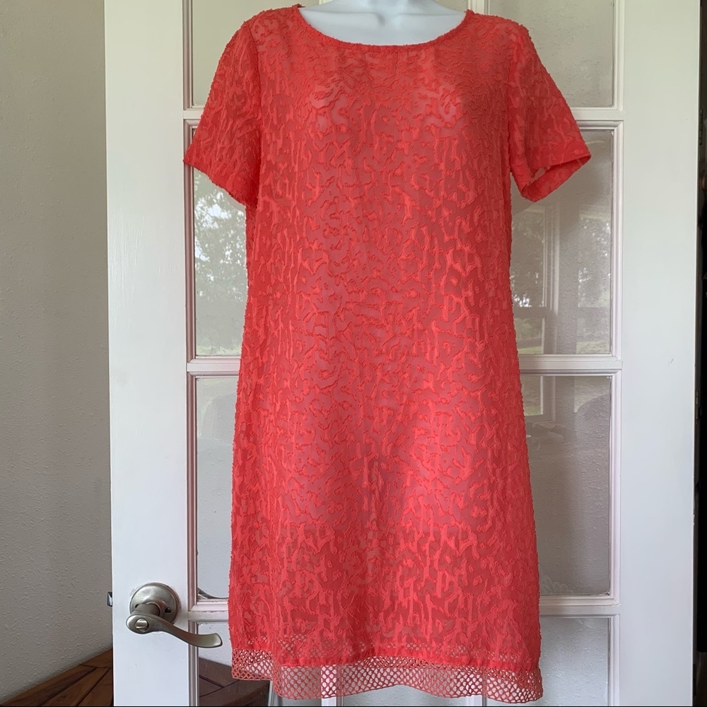 NWT Suncoo Paris Sheer Coral Leopard Print Sheer Slip Dress XS